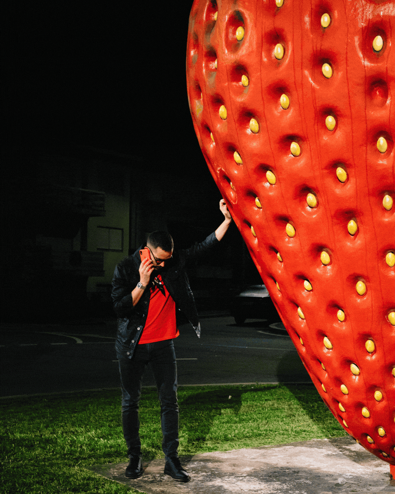 AT THE FEET OF DAVID BRUNO